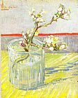 Glass Canvas Paintings - Sprig of Flowering Almond Blossom in a glass